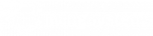 LS_LOGO_GREEN_WHITE_RGB