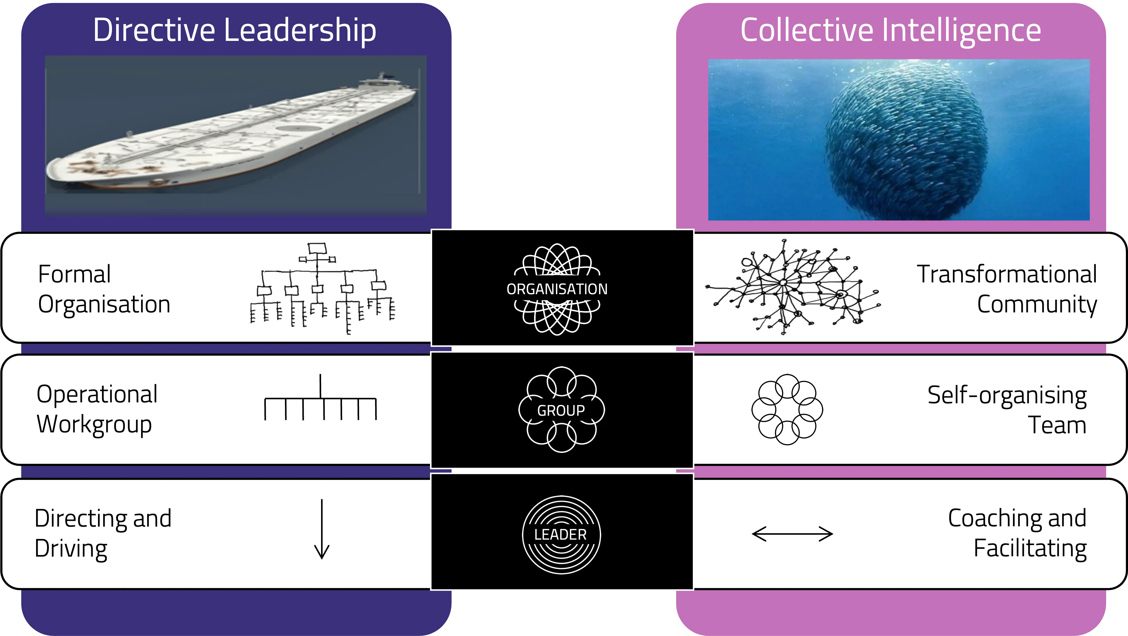 Diagram showing Scale of Ambidextrous Leadership with Directive Leadership and Collective Leadership within Organisations