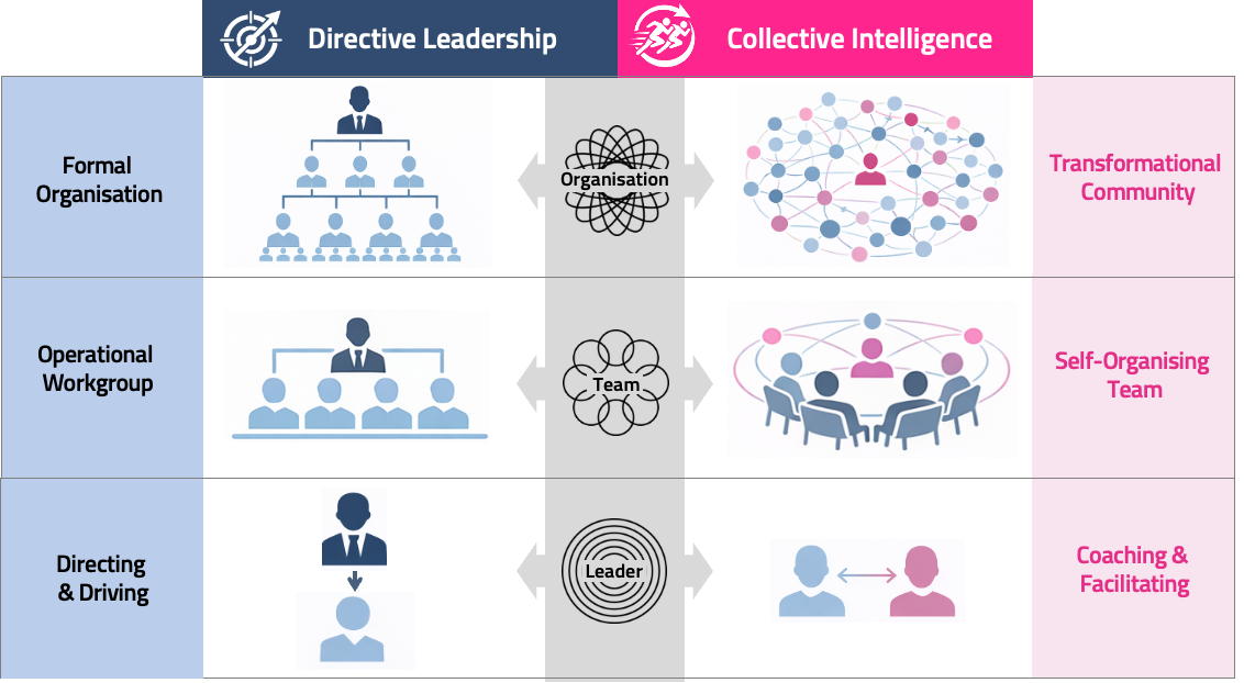 Diagram displaying Ambidextrous Leadership